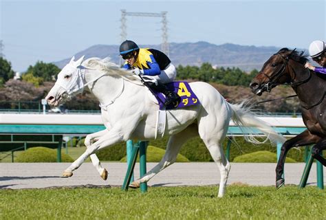 Horse Racing in Japan.